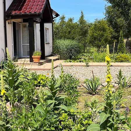 Pokoje Goscinne Neptunia Rusinowo  Dış mekan fotoğraf