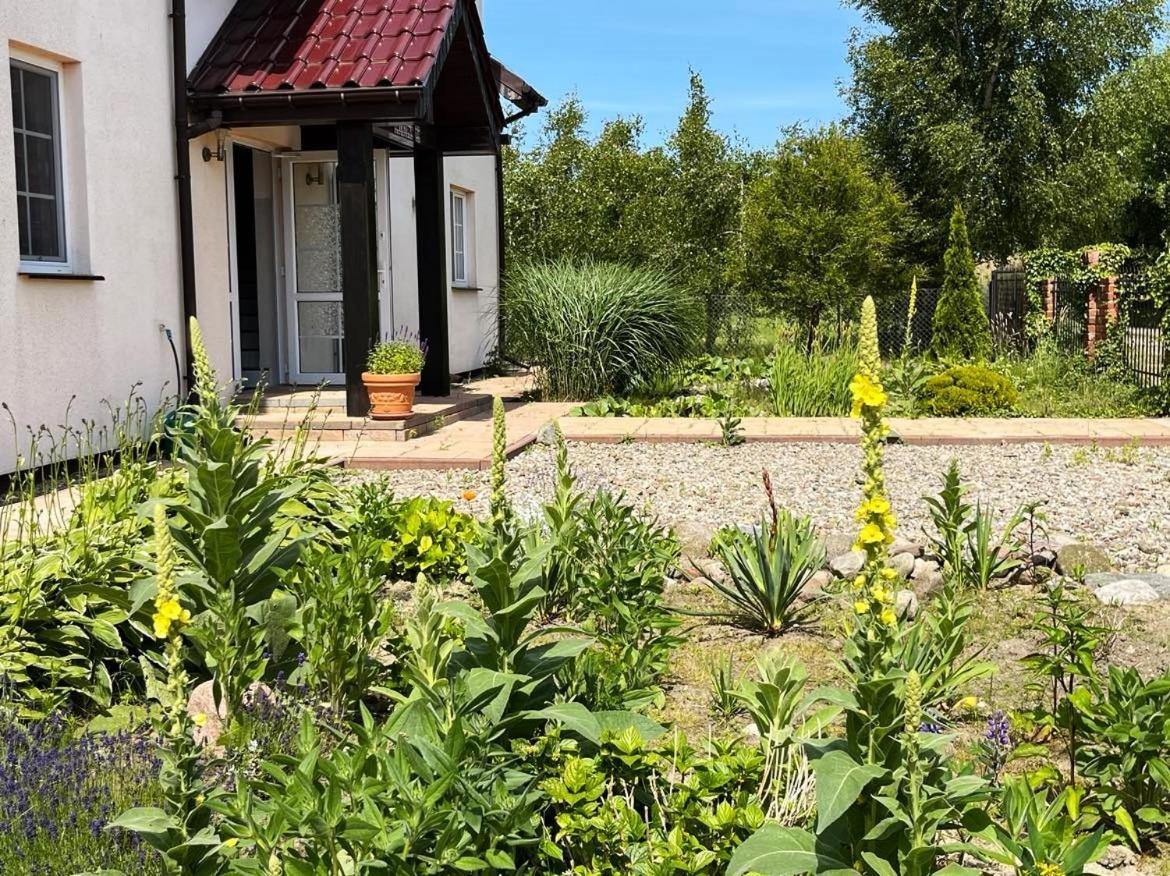 Pokoje Goscinne Neptunia Rusinowo  Dış mekan fotoğraf